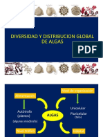 Clase Div. y Distribución Global de Algas 2016