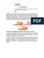 PILOROMIOTOMIA.pdf