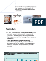 Acuicultura PPT OFICIAL.pptx