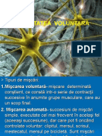 Motilitatea Voluntară