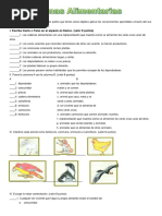 Las Cadenas Alimentarias