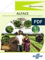 Cartilha Alface Passo a Passo