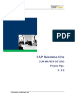 Manual - Fondo Fijo SAP BO