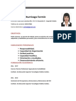 CV Evelin Iturrizaga Fermin