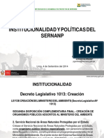 Institucionalidad y Politicas - Pedro Gamboa