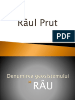 Râul Prut