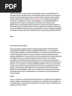 INTRODUCCION.docx