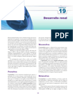 Desarrollo Renal