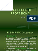 El Secreto Profesional 6