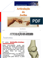 Articulação do Joelho: Anatomia e Músculos