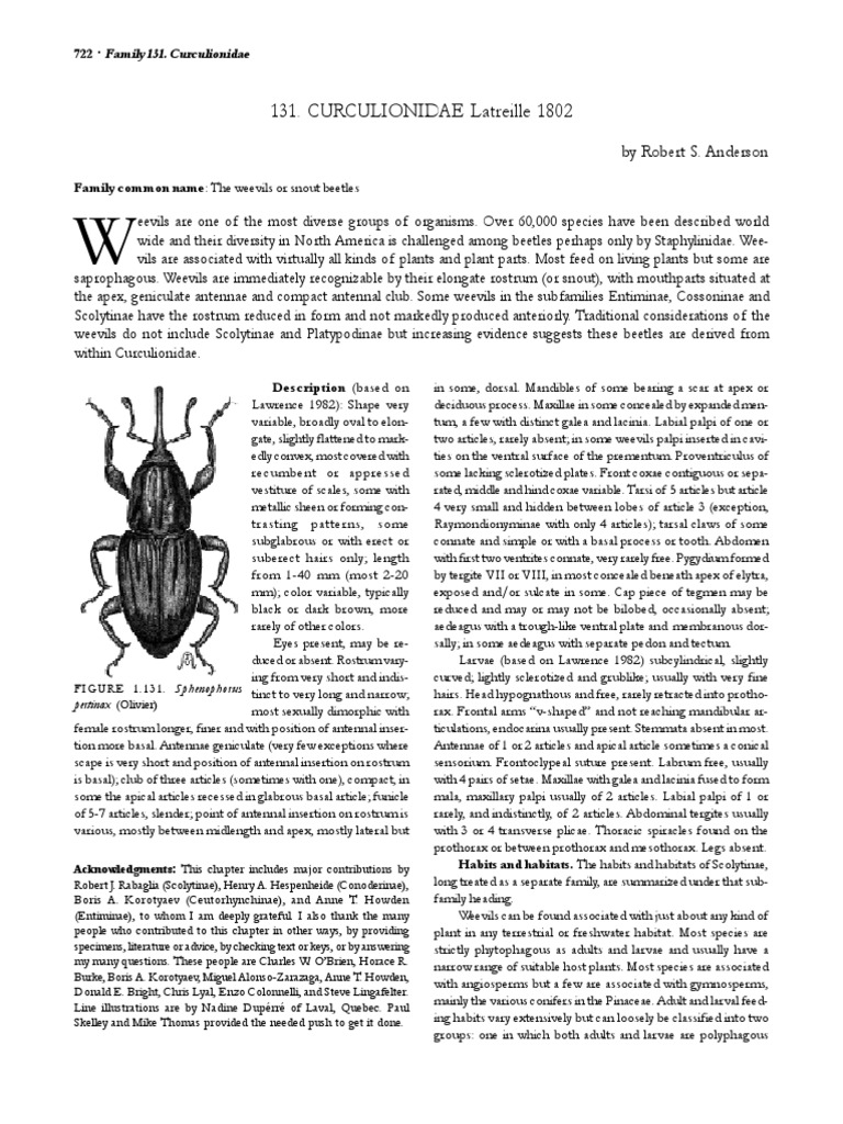 An In-Depth Exploration of Weevils: Their Remarkable Diversity ...