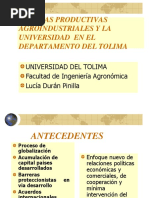 Cadenas Productivas Agroindustriales Universidad (1)