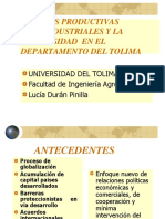 Cadenas Productivas Agroindustriales Universidad