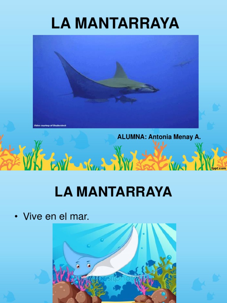 La Mantarraya - Antonia Menay | PDF
