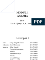 Modul 1 Anemia: Tutor: Dr. Dr. Tjahaja H, S., SP - Park