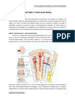 renal.pdf