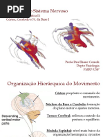 Motricidade Somática II_CórtecNBCerebelo I_EC2017