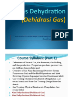 05 06 Gas Dehydration PDF