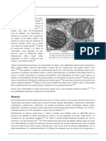 Mitocondria PDF