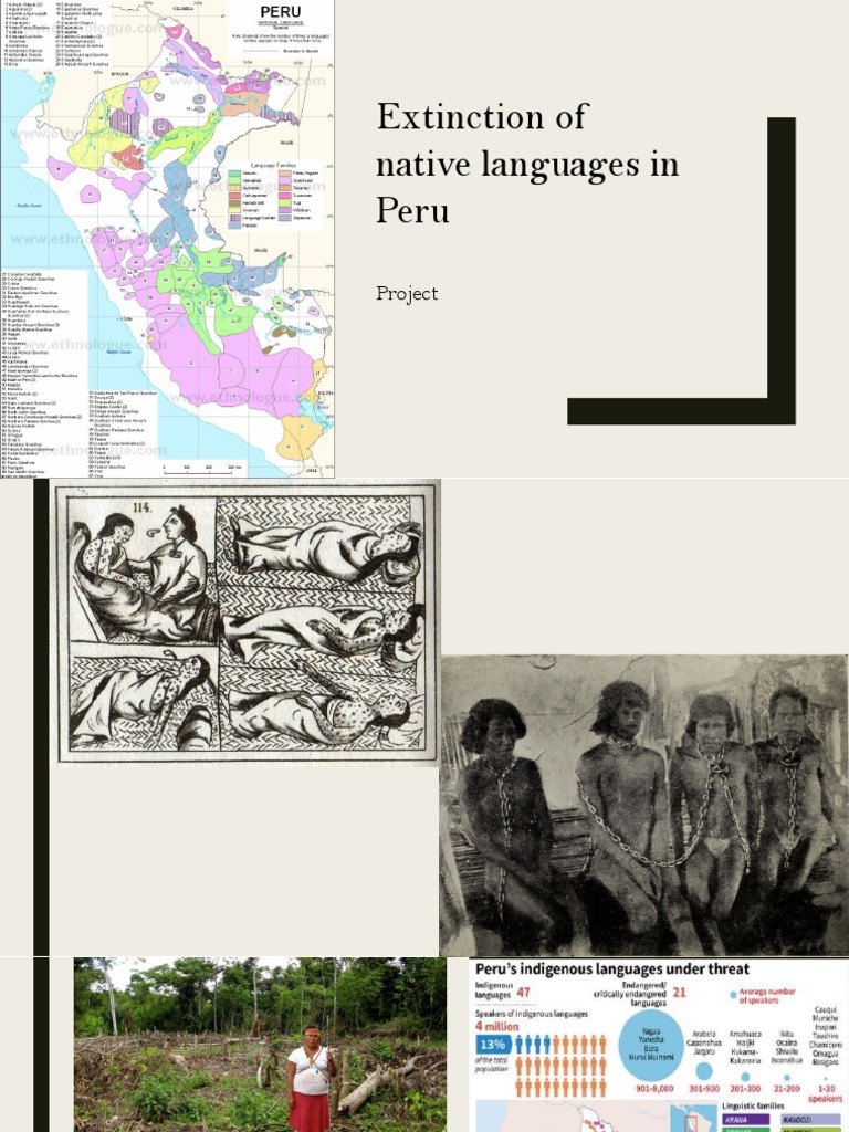 Extinction of Natives Languages | PDF | Language Arts & Discipline
