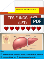 Liver Function Test (Lft)