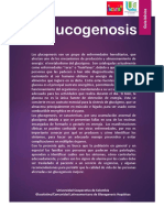MANUCLASES62 Guia Glucogenosis Actualizada Mayo 2017 PDF