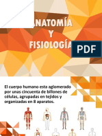 Anatomia