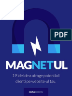 Magnetul 19 Idei