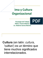 Cultura Organizacional