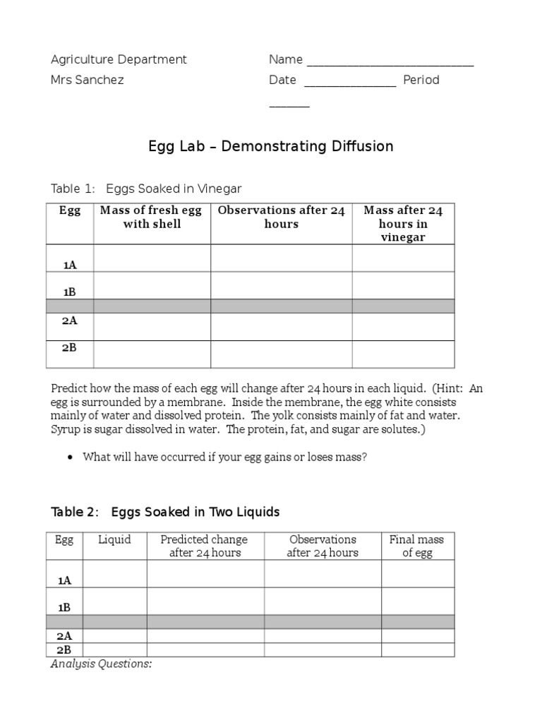 Egg Lab Student Handout PDF