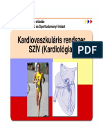 04 BSC Anatomia Keringes Sziv