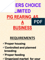 Pig Rearing As A Business