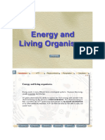 Energija I Život Organizama