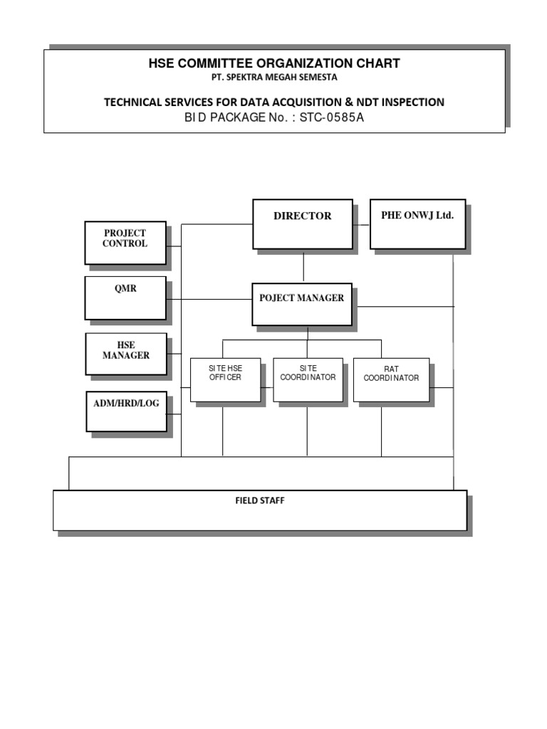 Hse Committee | PDF