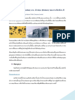 ปัญหารูพรุน (Porosities) และ ผิวพอง (Blisters) ของงานฉีดสังกะส PDF