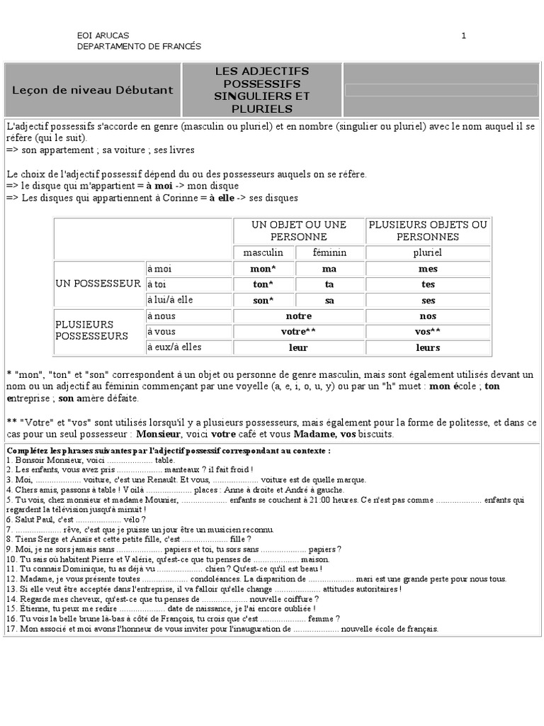 Les Pronoms Possessifs Exercices Pdf Adjectifs Et Pronoms Possessifs Exercices PDF | PDF | Genre grammatical |  Nombre grammatical