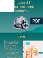 Musculoskeletal Anatomy