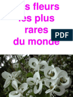 Les fleurs les plus rares du monde.pdf