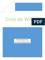 Ciclo de Wilson