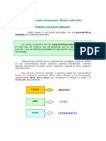 RECURSO CONTINENTE AMERICANO.pdf