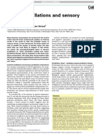 Arnal Cortical Oscillations PDF