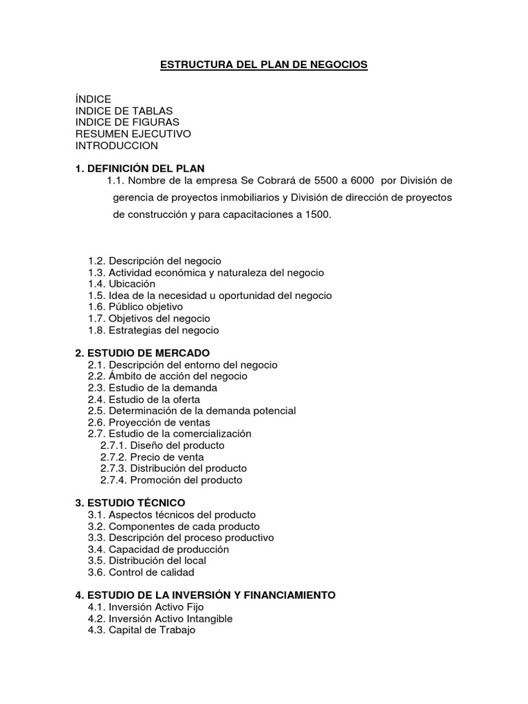 Estructura del Plan de Negocios | PDF | Presupuesto | Inversiones