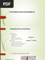 5 - Valorización Económica.pdf