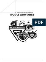 Guia Mayor