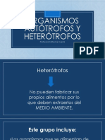 Organismos Autótrofos y Heterótrofos 6º PDF