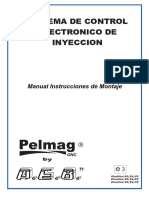 INSTRUCTIVO DE INSTALACION AEB-Pelmag PDF