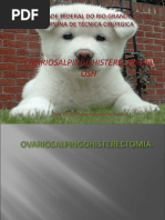 AULA OSH Prof. Emerson 1.pdf