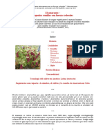 Guia_Amaranto.pdf