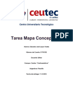 Mapa Conceptual