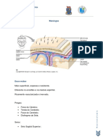 Meninges 2